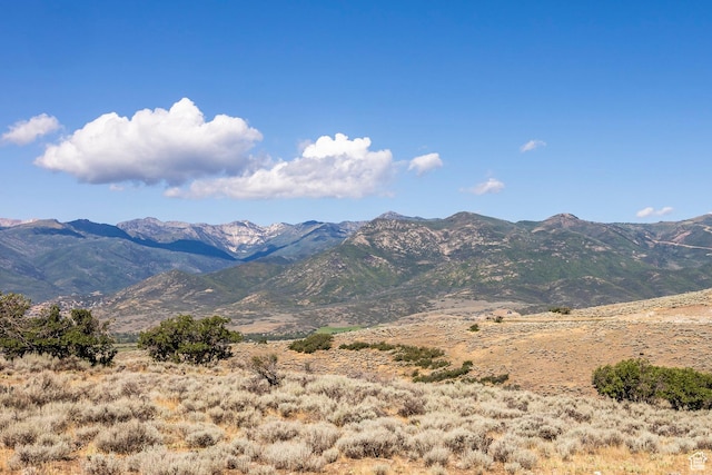 2005 N Lookout Peak Cir, Heber City, UT 84032 - photo 39