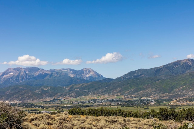 2005 N Lookout Peak Cir, Heber City, UT 84032 - photo 52