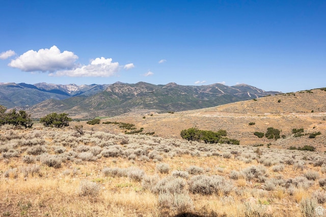 2005 N Lookout Peak Cir, Heber City, UT 84032 - photo 38