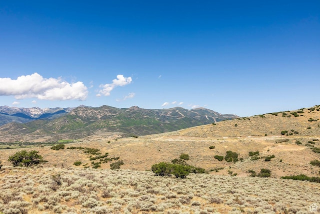 2005 N Lookout Peak Cir, Heber City, UT 84032 - photo 56