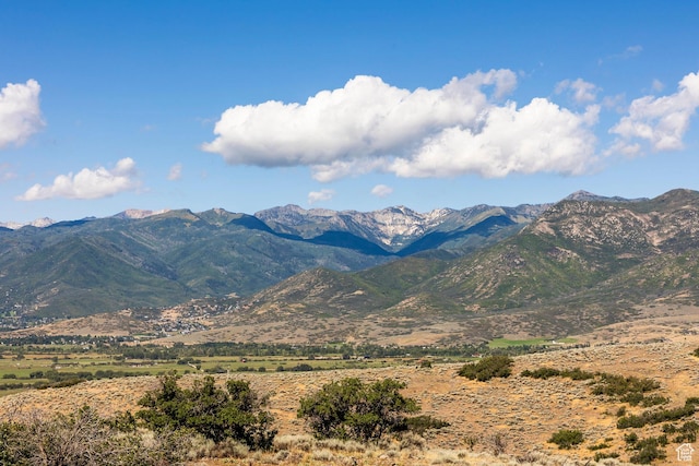 2005 N Lookout Peak Cir, Heber City, UT 84032 - photo 50