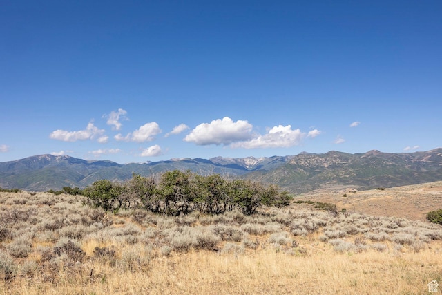 2005 N Lookout Peak Cir, Heber City, UT 84032 - photo 37