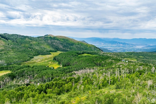 Midway, UT 84049 - photo 75