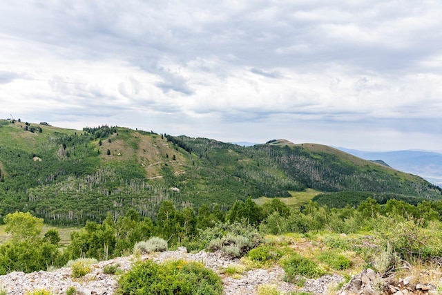 Midway, UT 84049 - photo 32