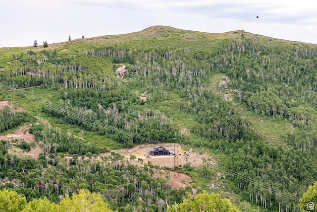 Midway, UT 84049 - photo 16