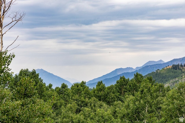 Midway, UT 84049 - photo 25