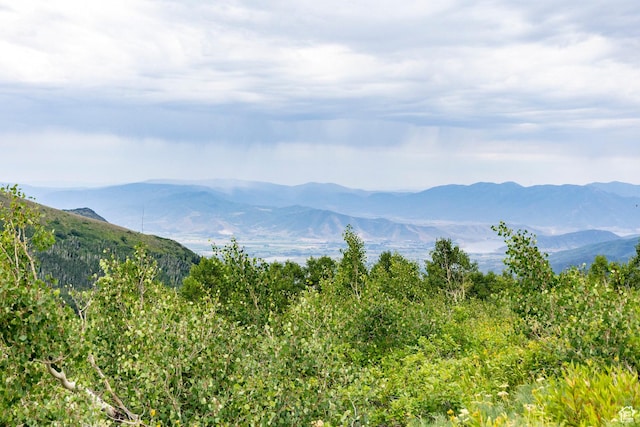 Midway, UT 84049 - photo 44