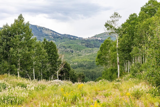 Midway, UT 84049 - photo 58