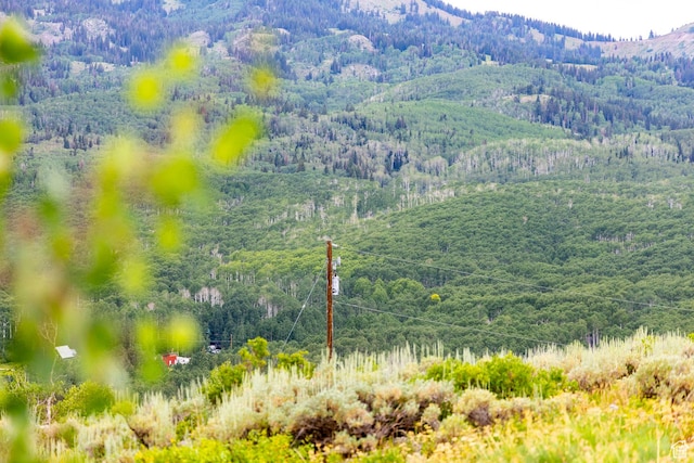 Midway, UT 84049 - photo 50