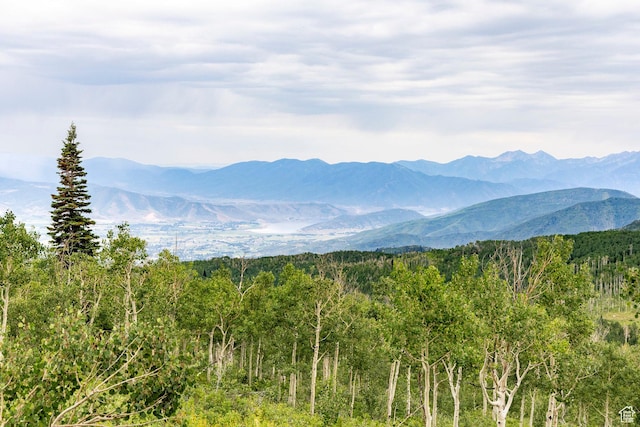 Midway, UT 84049 - photo 52