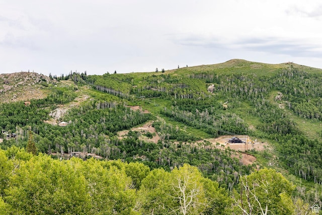 Midway, UT 84049 - photo 15