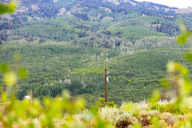 Midway, UT 84049 - photo 20