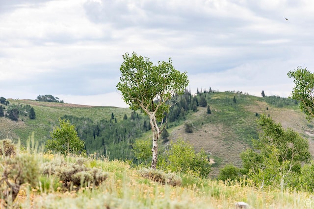 Midway, UT 84049 - photo 29
