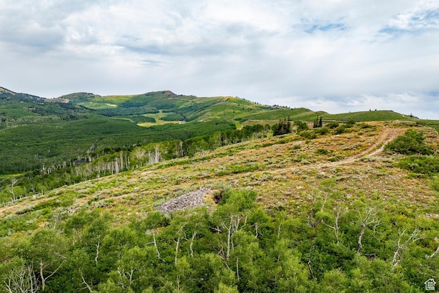 Midway, UT 84049 - photo 77