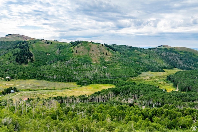 Midway, UT 84049 - photo 74