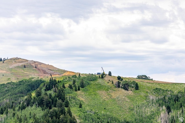 Midway, UT 84049 - photo 2