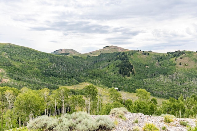 Midway, UT 84049 - photo 31