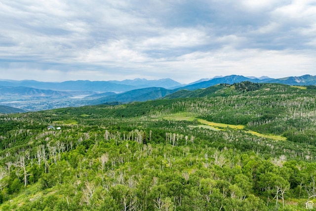 Midway, UT 84049 - photo 76