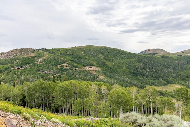 Midway, UT 84049 - photo 30