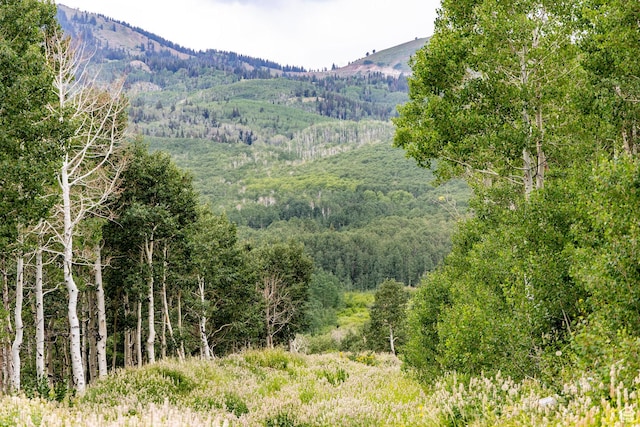 Midway, UT 84049 - photo 59