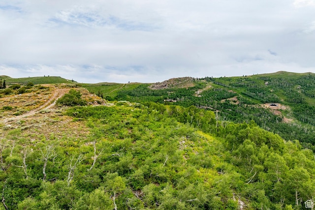 Midway, UT 84049 - photo 78