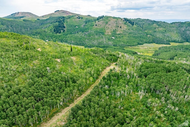 Midway, UT 84049 - photo 66