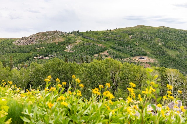 Midway, UT 84049 - photo 39