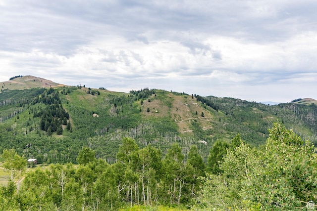Midway, UT 84049 - photo 43