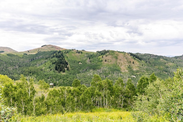 Midway, UT 84049 - photo 36