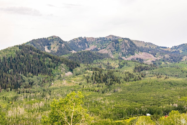 Midway, UT 84049 - photo 17