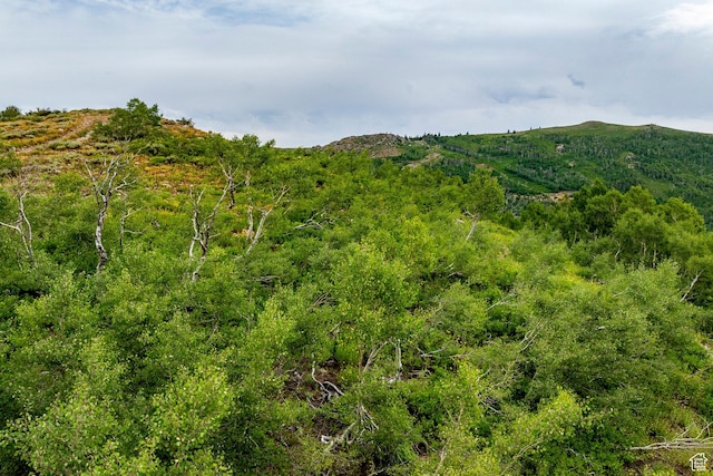 Midway, UT 84049 - photo 72