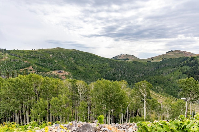 Midway, UT 84049 - photo 40