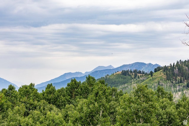 Midway, UT 84049 - photo 24