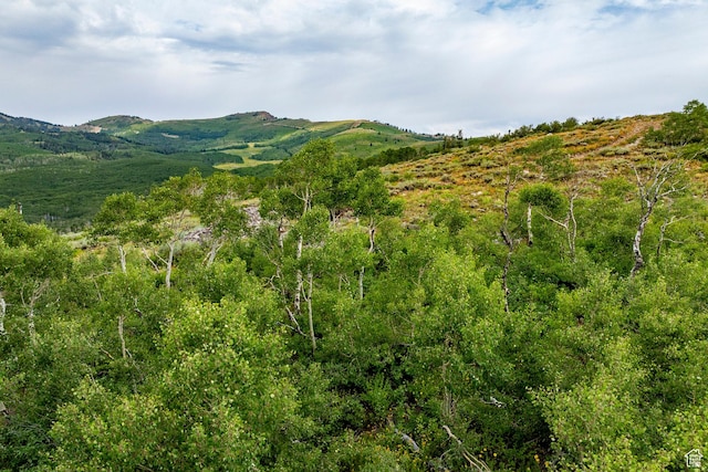 Midway, UT 84049 - photo 71