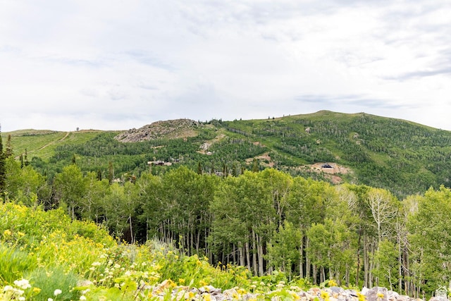 Midway, UT 84049 - photo 41