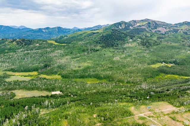 Midway, UT 84049 - photo 14