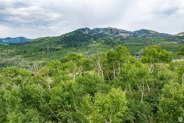 Midway, UT 84049 - photo 70