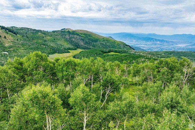 Midway, UT 84049 - photo 11