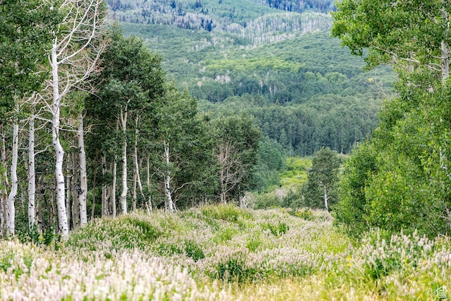 Midway, UT 84049 - photo 26