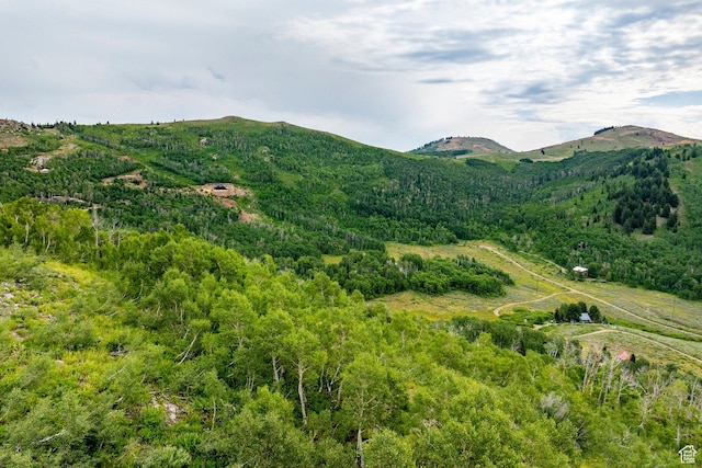 Midway, UT 84049 - photo 73
