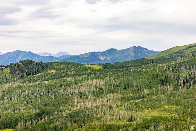 Midway, UT 84049 - photo 18