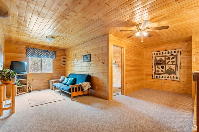 15020 N 12775 E, Mount Pleasant, UT 84647 - photo 21