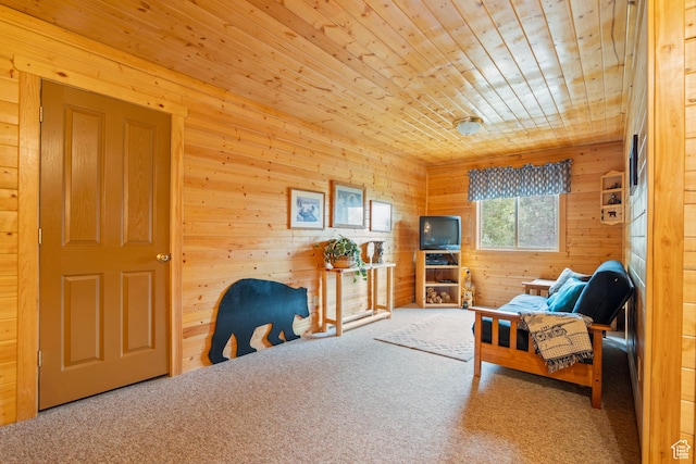 15020 N 12775 E, Mount Pleasant, UT 84647 - photo 22