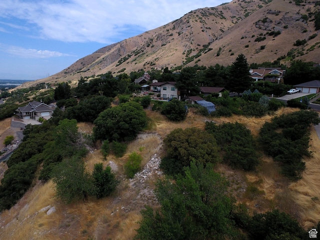 1783 Spring Oaks Drive 12 & 1, Springville, UT 84663 - photo 4