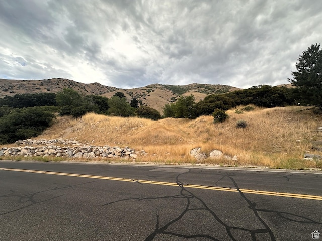 1783 Spring Oaks Drive 12 & 1, Springville, UT 84663 - photo 1