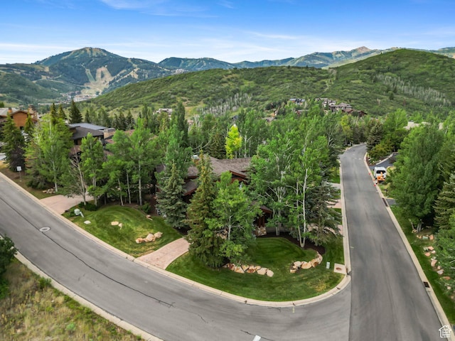 3460 Sun Ridge Dr, Deer Valley, UT 84060 - photo 45