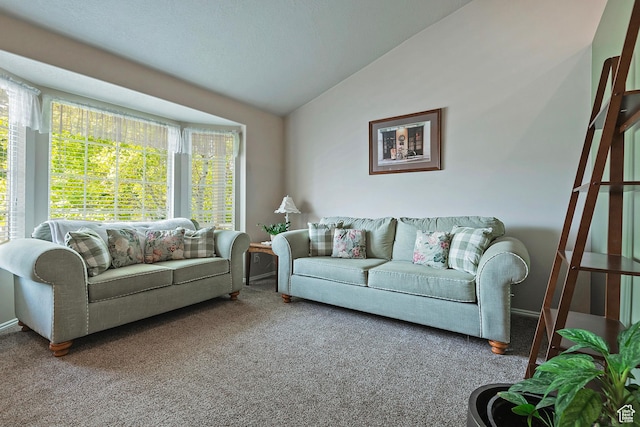 8941 S Sun Leaf Dr, West Jordan, UT 84088 - photo 6