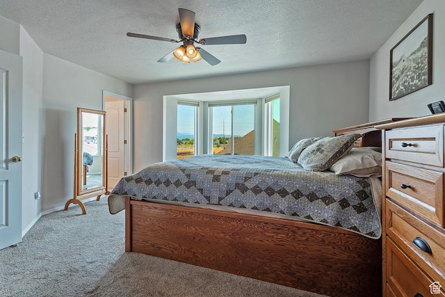 8941 S Sun Leaf Dr, West Jordan, UT 84088 - photo 20