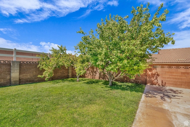 180 E 615 N, La Verkin, UT 84745 - photo 31