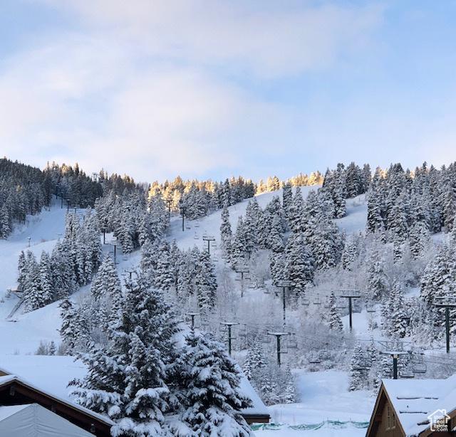 2510 Deer Valley Dr E Unit C13, Park City, UT 84060 - photo 49